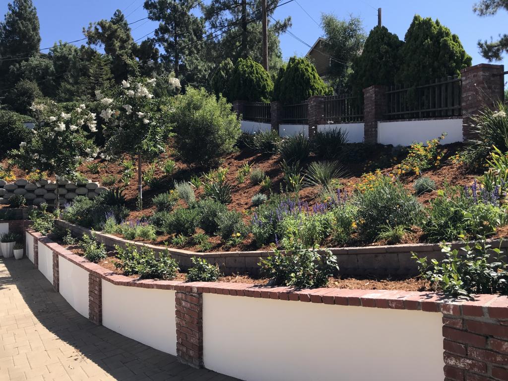 Pasadena Landscape Design Songbird Garden Design